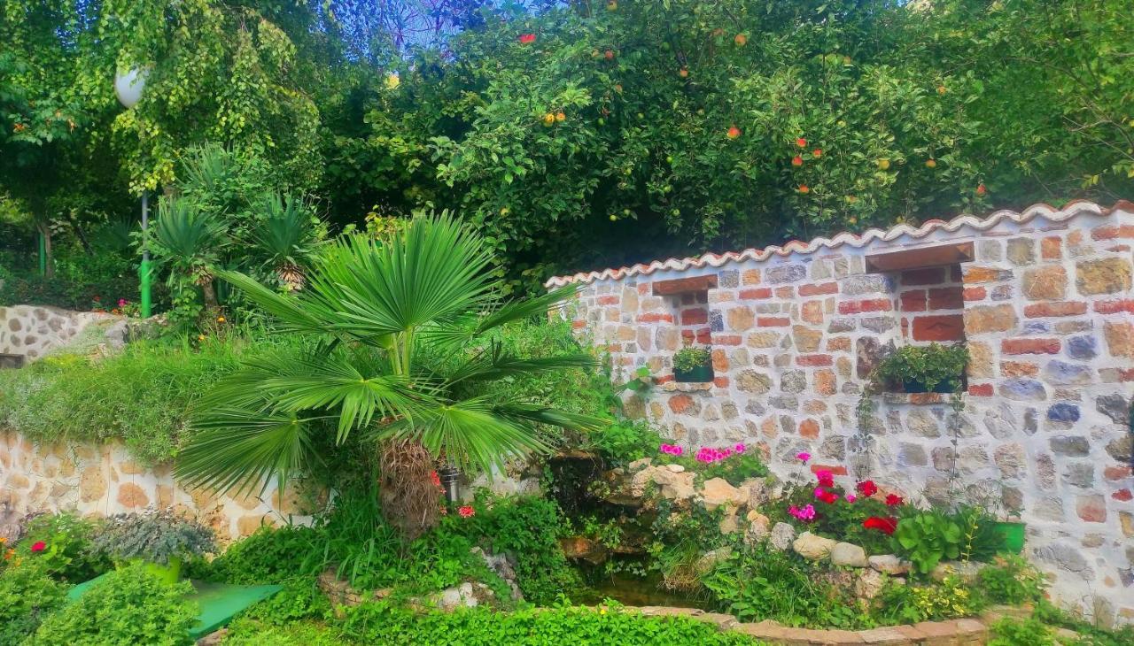Villa Forest Paradise Ohrid Extérieur photo