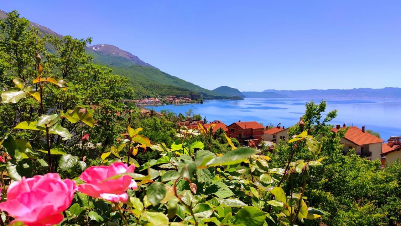 Villa Forest Paradise Ohrid Extérieur photo