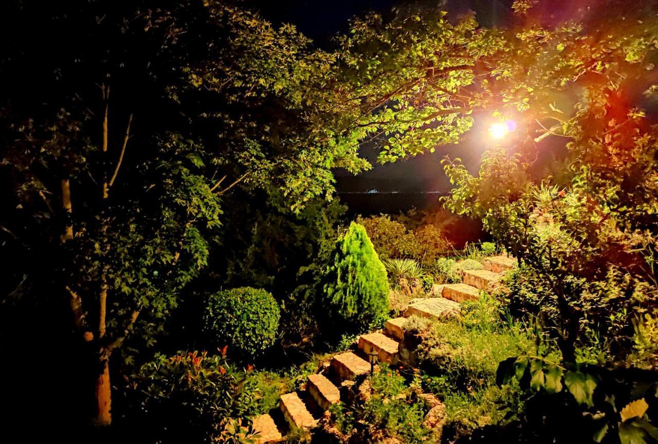 Villa Forest Paradise Ohrid Extérieur photo