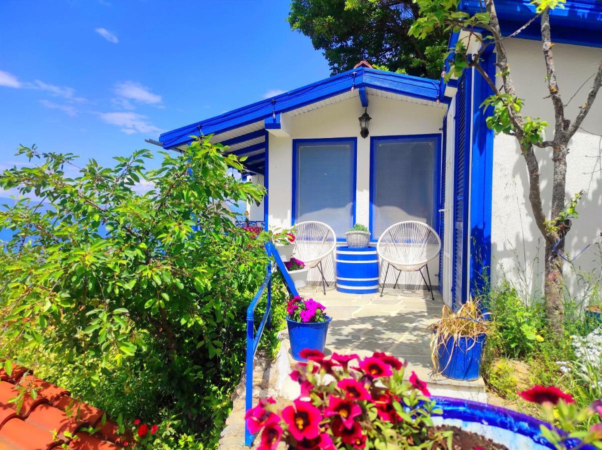 Villa Forest Paradise Ohrid Extérieur photo