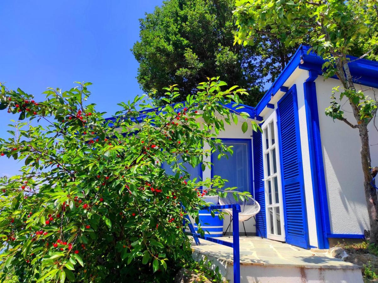 Villa Forest Paradise Ohrid Extérieur photo