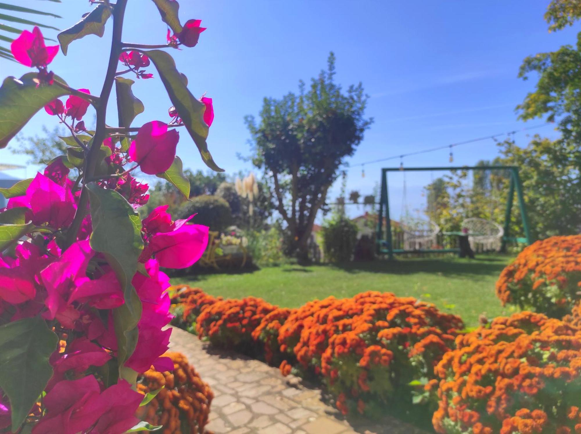 Villa Forest Paradise Ohrid Extérieur photo