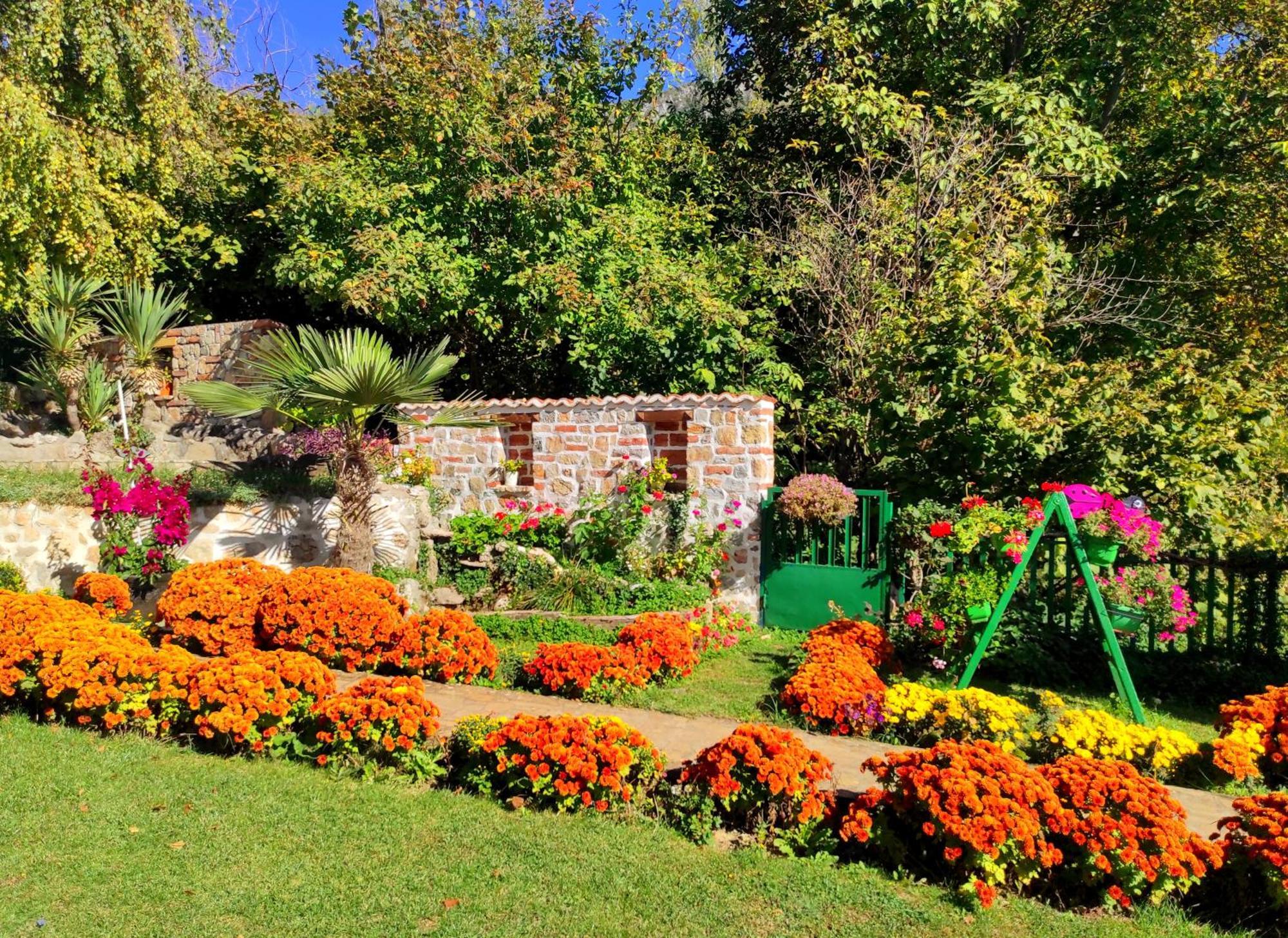 Villa Forest Paradise Ohrid Extérieur photo