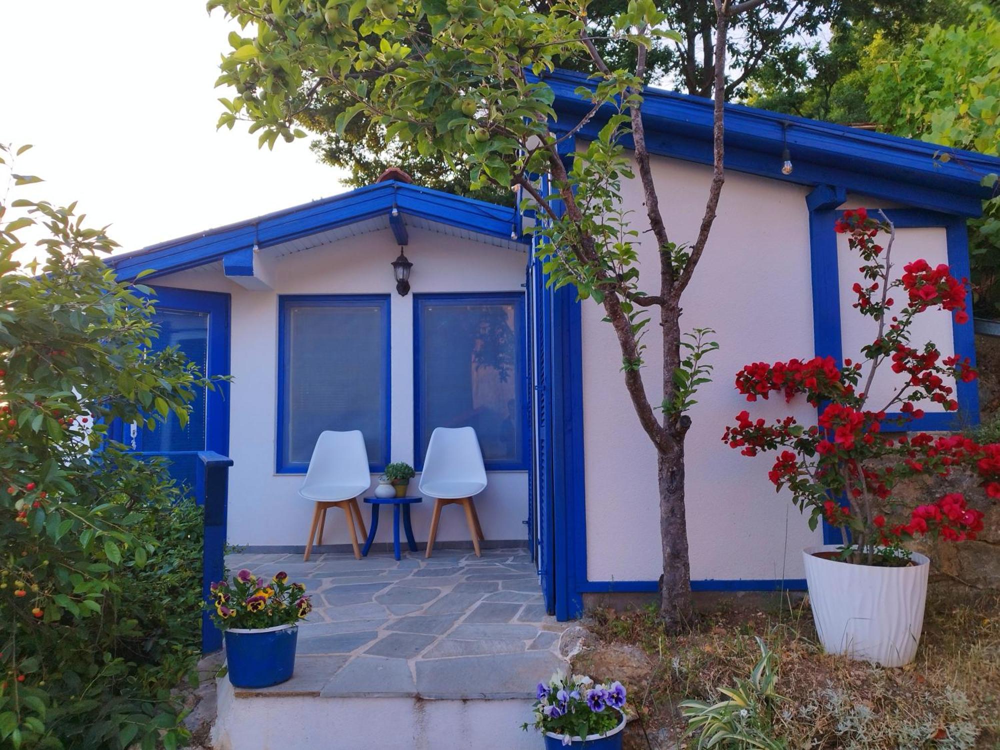 Villa Forest Paradise Ohrid Extérieur photo