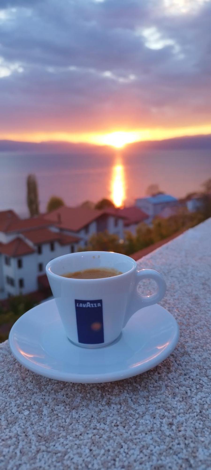 Villa Forest Paradise Ohrid Extérieur photo
